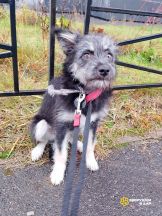 !!!Камилла (2)