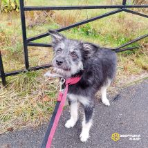 !!!Камилла (3)