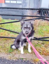 !!!Камилла (7)