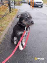 !!!Камилла (8)