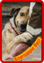 photo_5240497406007250213_y