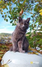 2qHqBfNSeYZ4E0VRdRk4PW93VH7ZfPzVTsUJD4QyQWQDO6JSrjP8ZE0NNis9ySQ_vI07HdjjPliFT8Jf018_pxEz