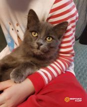 8WSm6CeEpjzi59PQtPTVWuyyczzHsxUdONoC2N1VffwLqON2y50xi_q_DS-6in1Ur09DTGNfdKkR8ihPT2bBsQq0