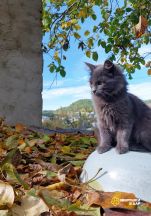 VJPyEFPYDJpf5A_OdOtzCHno8eOQhinCavO-7Ucv49twsTwZUzpC7N4DnaKxdwyXKTtl1G5SoN6T_ST6jKXbUhJ8