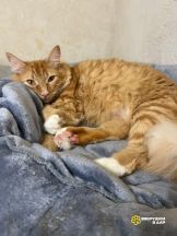 jbXPbFqfPqfIL7XfIYafi2mLv4p5nqJpSUSqE2I9a_EwpIMkygbctLQuvkEaWMYFHg-JRurtv9LvdXzccoNgmVpE