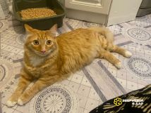 qWipiA_yMoV69c8bEYj1TjWw235Jeo9-TwvYCWYOjwBocC55R804-OLw-o4MO2orrwI4gRW10374pdPRmDUs6lE6