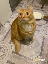 S5W-xMGIvy8I0Vr2qMqT7CsOHIHUJ0Em8hE38aihnGZKSAxeIS9TRvZuHVg9mQBehfILM0O6I7i3TZlt7WUwkmaj