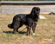 K7nb-0-boqAeIYhYj1is31inrNe8iTnZlWBtlOxUlNA7YwxLXIcOUbtsLOR0-5eNzHjLDr7q7JTUblUlyqQvyNP6