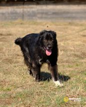 YaTySigvZrOgffBUxul4TUMZp3pT6xKWnkK9k-0bxL2w0jzwobzeIa3hSbBo0NpP9UeS5ggQ8mpAREwEQjtimwEu