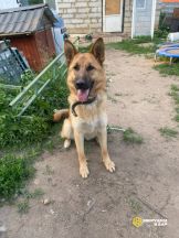 d49ea8cB4XQc_SCF9EYGLpyU90qHgsxcAEdBHDdIcA1Q1NYRuXp3UIZao0z41MKcJ2D2Hi8Sd7oX_pWS6Yc-HX59