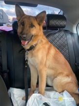 lWtarf4TGNdxWTQcyT2W8ycsHFRdm-lI-QQLrckLAOWnkK-qu-kjJfA4KlspY0oP6cjez23yh71qyqQhLyRQ9EGB