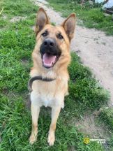 ni7roVJ-xelRxwdHQkHc4nMaQ4E3MkIwqHvaXsSd4xoXClmupHweZTvr4Cbi6TuOWgwYV1tz6SYwnhsdEscC9_Zr