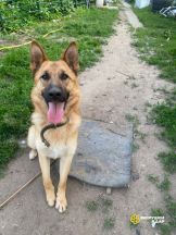 nukWYmfOJjOpd7rxp-Bm7a-DeltoHnokaV6ijnajf4FtTC6xYNXYb64uxC83rzdxoUlRu1DmTQ2QfkWOCbNuvHED