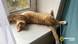 photo_2025-11-21_20-41-21