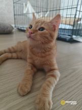 WhatsApp Image 2025-11-20 at 18.25.02