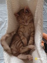 WhatsApp Image 2025-11-20 at 18.27.19