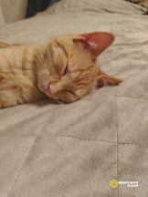 WhatsApp Image 2025-11-20 at 18.49.10