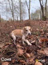 QhhRtMiGxKa6iOzhWmzXrX9x4OmrCzZoQtGI3V6v3aHjl0_0oLyGO5IYcS0sl12rVC2IfzLAQc8y4iZ21rHpEklw