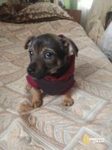 !!!Гаррик и Жорик (7)