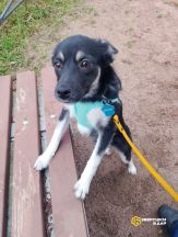 xBG84TLec8i4a4Oy5gYjY7U70XxrnDyJWTuKqnjhSNAuddRfBAtjAcsUdxFLJd8Ryvdoja4AdLt-Z6E87OCcA3gO