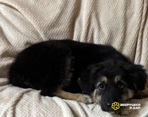 1K0gLPrewFFSIx9AcgNNLvF_GiJnRBZafAAdG2xjTriHjqDRMf_3oJipvXeDamffiC6rk9wa7rnIlhuBnRHTt89X