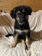 _yFzIwW3J2o7nuRmjfopUMdgN0ACDFAmsrlATxGEeICro85mFLzcexbUc3YYPy8EDu8jWo0MCFP74bPgDROBw9AY