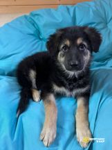 AE17C7F0WneRvy7Ntr7YCRVvIot7s613sb0AL1rjUySLmwEkGvd0vd5RRghCoHVkRXoxZICkJmt5fZIMAWgugXWF