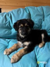 bZR8rfFUCxFqmGTk8PM8vpdHEmS10585ELTqDgm6lObUoP4cMAxOn4p1zFtTlR8koClwmcJS5l_T4UHEM017PQjL