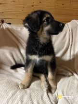 krCXPq-GOcyktCYDKP7xxvl99mNSwX3qmr-h4EAbdb3UAWYqZMRrxXVy7XpqXE1Txz-3-9Hru9MRwyGOzd6ZcQO4