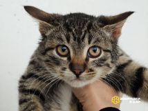 IMG_20251202_171906_042