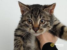 IMG_20251202_171906_147