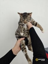 IMG_20251202_171906_513