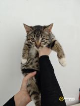 IMG_20251202_171906_770