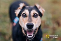 IMG_20251203_155445_102