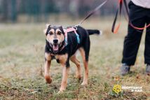 IMG_20251203_155451_298