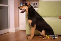 IMG_20251203_155522_619