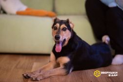 IMG_20251203_155526_498