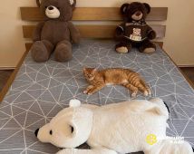 photo_2025-11-21_20-41-15