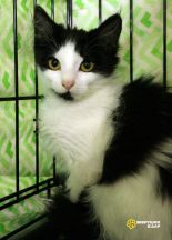 1SBQsDs4cJcviy727yDQRJVNYzJT3n6mAQ-S6eUdWT-XZPC3tpZNSvVrwM4huXcgTHgahkIiJDyt114lp6vR8I1d