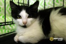 4CeTBUTP3Xmo5sdQXe4Qll2VtXg-el_94AHiQDp-NLqO3fUdODTS49PArAF87JsaNxzADbK5ve57cpq3Il1UKNBp