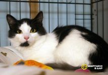 lHQpA64XMlTe0PCRpFVD2DTI39ox9R5D-AZfR12xDj1QUGtO4AfkJdw-KTofj7rmGhRiTU4BZ8jtiYMMq2B5HBz8