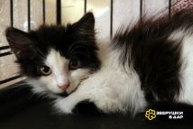 PT61Md-tzXHDr4YHCSgIuuDfs5tT65NYFb7Q8t9KOz-3Gt4rgVMLBqsyZAMCmn75VsDxtfjoAiY2JPVBCGituc01