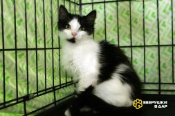 TvrtD9Tm_tp22ZgVtcCs7XUcY-6DCYt-S3rLEFaptsksCCrTYhFtG23Ot3Juw2-NhG7sZ3xeo7DH0AdLdZdac18g