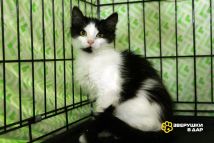 TvrtD9Tm_tp22ZgVtcCs7XUcY-6DCYt-S3rLEFaptsksCCrTYhFtG23Ot3Juw2-NhG7sZ3xeo7DH0AdLdZdac18g