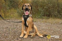 1sfwP2mmKHXJzEcyE3BUiiDFDEKOZ-iPq1WaN0VSwo0O2VhqdsAGi9d_KGjP082DdCv8snewT6V-gcUT0as-IyU4