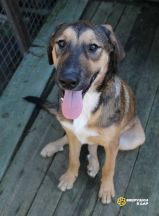 GJeEIVEwpH0q_JrzyjGiKzwCaCOCGpb7rvhFGwNn_j_Z9xWV6UUki3hYNfSqIJ83Ib5-zB0OT8-jlT_Ei5x6koSD