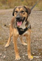 mCugb9dIFi-1cPDZV6CSZM3ALtFklSpleb7C7teyM3_UMCTYExIUswZIZnwO_eaWfSx5njkhoTORQQhpIy3T72mQ