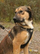 N29bd23hnh03FqouqTpRYPKRNVV1mVKkrB5E48d7GNtAFQLAvXhlBsKWf0TelS-4daqfqdLdyUj6EraoYeTCWzKN