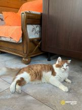 AY30vPAh6z9Q0nQljM3JgDe05Q5WoZARhltxWLoKDVMnam4AXGRrmQi5wxOgczcrmr8SWolq3Ae5EGUatReIwOET