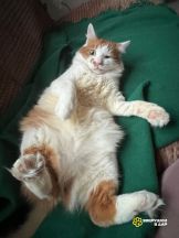 jLJnagc2NeJ_ElbOaqyoib2DIvw6v3wpTkL2tQuCyiiactyy0UIE5K_pOsHjLvysXCSsrSxoyAfR9AFo-SWoIpuv